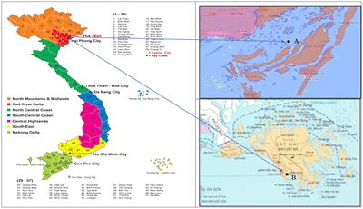 The genetics and breeding of the Portuguese oyster, Crassostrea angulata: lessons, experiences, and challenges in Vietnam